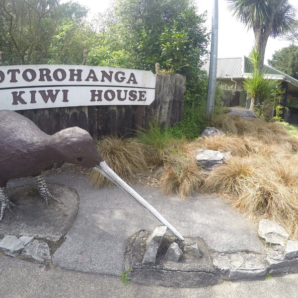 11/13/2016にaion9525がOtorohanga Kiwi Houseで撮った写真