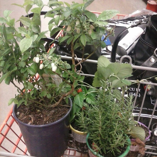 The Home Depot Queensbury, NY