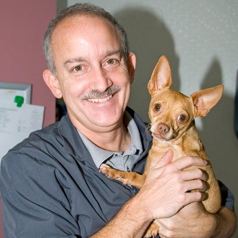 Sheboygan Animal Hospital Sheboygan Wisconsin