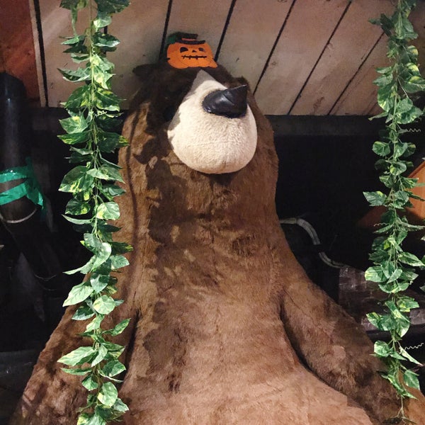 テディベア ミュージアム Art Museum In 函館市