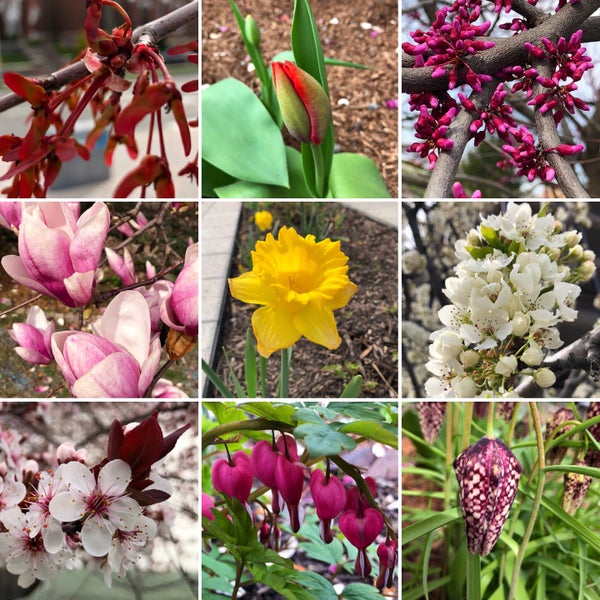 Historic Fletcher Place Fletcher Place Indianapolis, IN