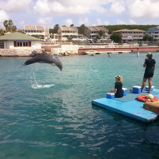 11/22/2012 tarihinde Djalma P.ziyaretçi tarafından Dolphin Academy'de çekilen fotoğraf