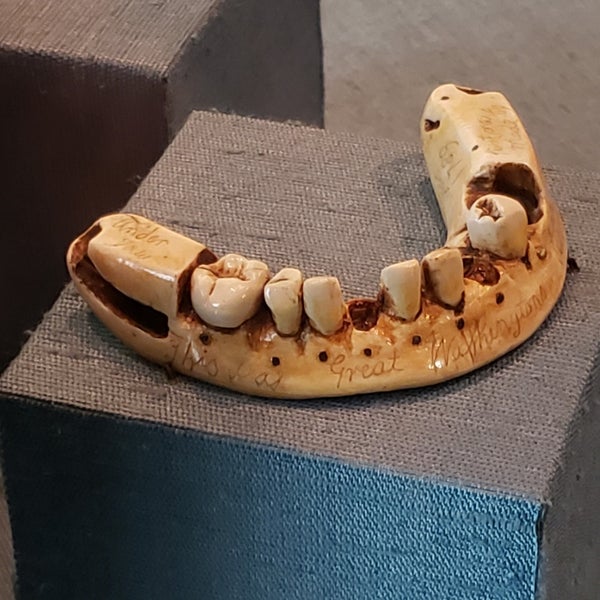 Das Foto wurde bei National Museum of Dentistry von Kelli M. am 3/5/2019 aufgenommen