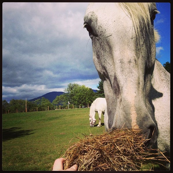 Farm by the River Bed and Breakfast with Stables 2555 W Side Rd