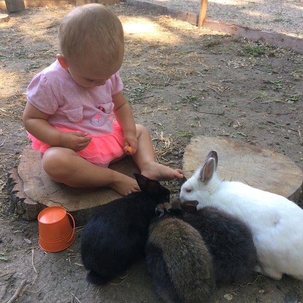 Sissy Island Petting Zoo