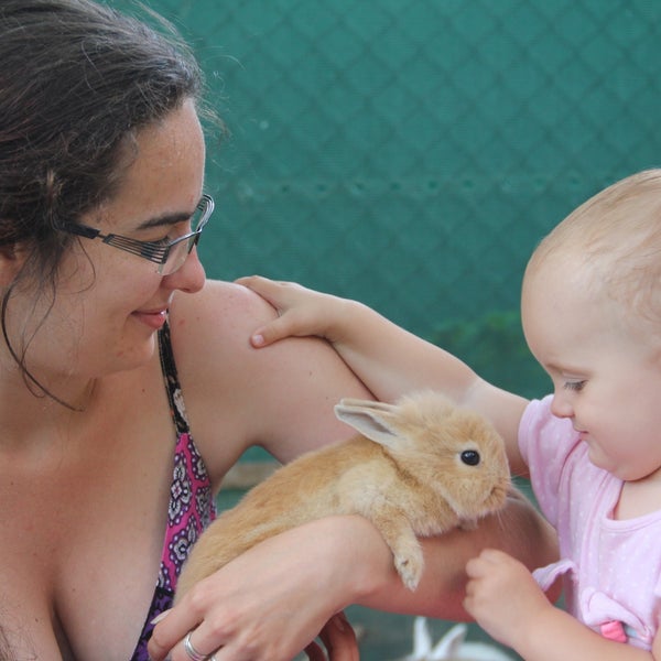 Sissy Island Petting Zoo