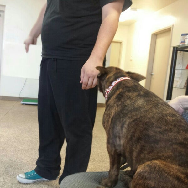 sun valley animal hospital glendale az