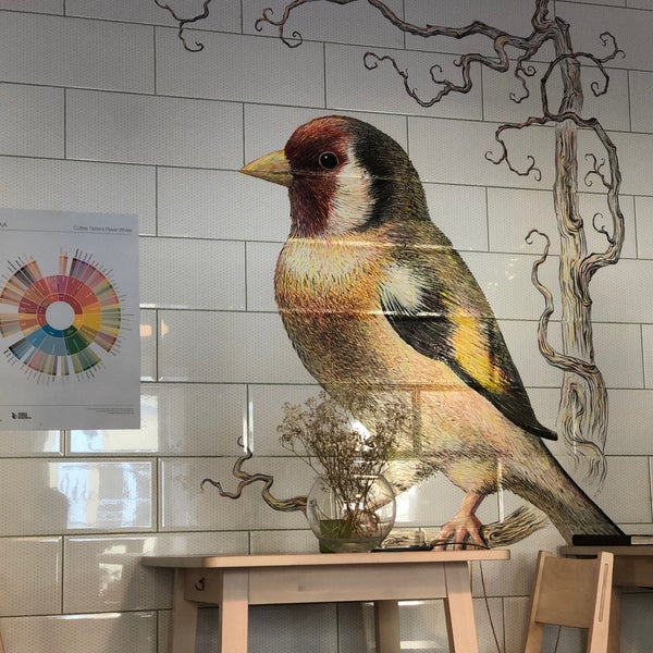 щегол питер кафе. щегол питер кафе. кофейня щегол. щегол радищева 38. кофейня щегол.