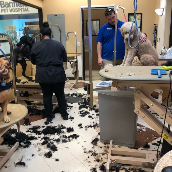 PetSmart Pet Supplies Store in Tallahassee