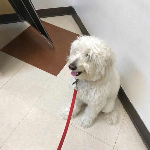 PetSmart Pet Supplies Store in Tallahassee
