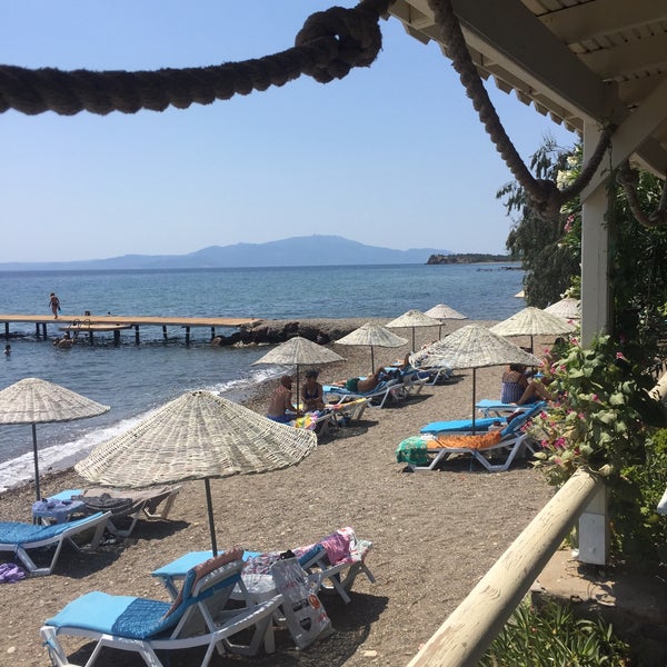 aydede balik evi 1215 ziyaretcidan 93 tavsiye da fotograflar aydede balik evi 1215 ziyaretcidan 93 tavsiye da fotograflar
