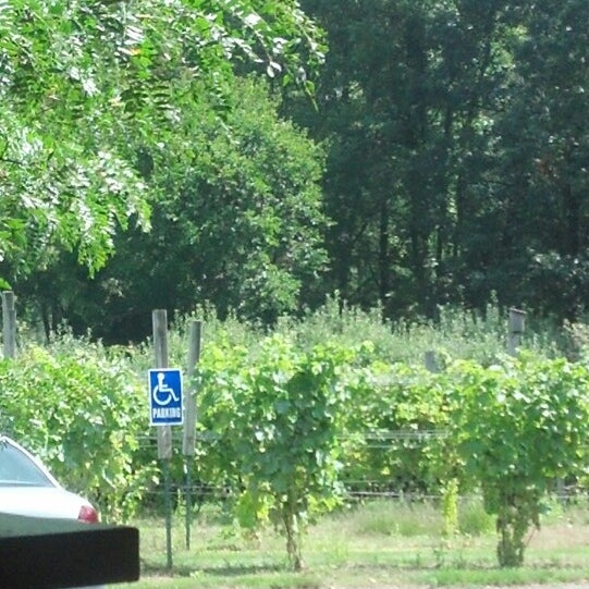 8/31/2014にRebecca K.がSandhill Crane Vineyardsで撮った写真
