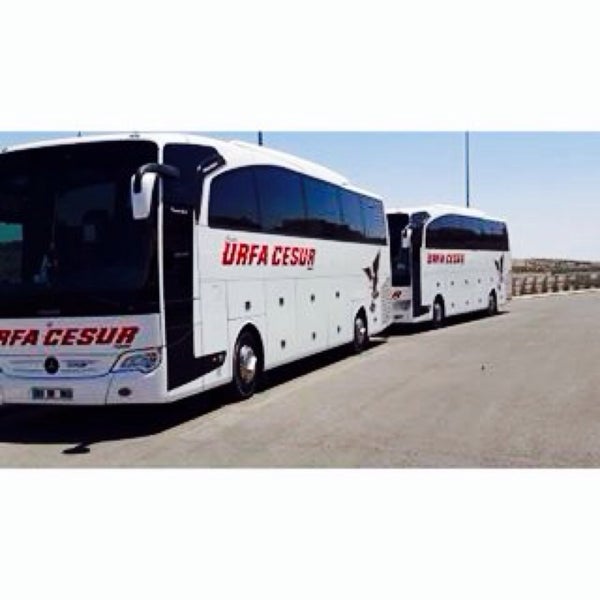 photos at sanliurfa cesur turizm a s 10 visitors