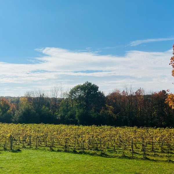 Photo taken at Shelburne Vineyard by Andy S. on 10/15/2021
