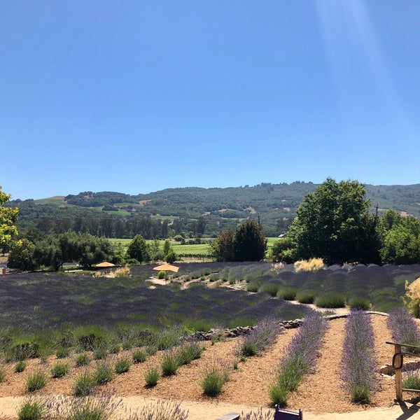 6/29/2018 tarihinde Andy S.ziyaretçi tarafından Matanzas Creek Winery'de çekilen fotoğraf