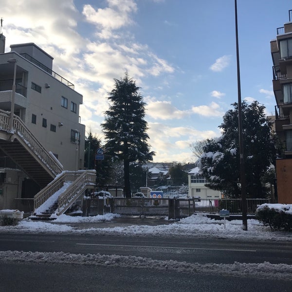 Photos At 横浜市立三ツ沢小学校 神奈川区 横浜市 神奈川県
