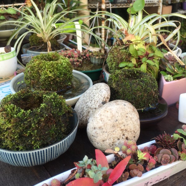 Fotos En 自由が丘グリーンホール Sala De Reuniones