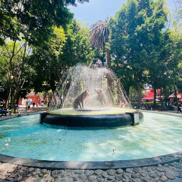 Photo taken at Jardín Centenario by Sandra N. on 7/31/2021