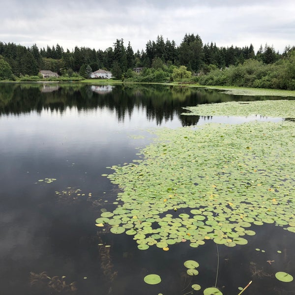 Поселок асбестовский аоапаевский районкарьер. Фантом озера. Фантом озера. Фантом озера. Белое озеро николаевский район ульяновская область.