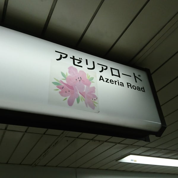 50 素晴らしいアゼリア 花言葉 すべての美しい花の画像