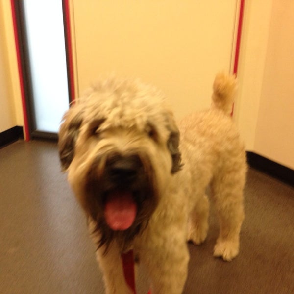 East End Veterinary Medical Center Veterinarian in Shadyside