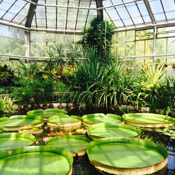 Photos At GrÄdina BotanicÄ Cluj Napoca Cluj