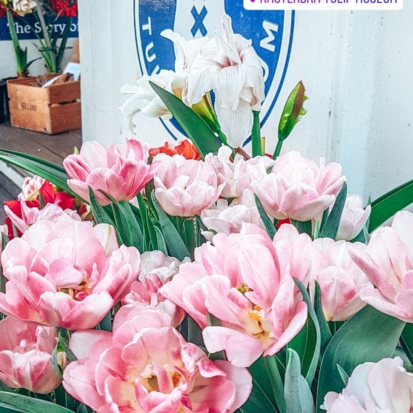5/31/2019 tarihinde Arinaziyaretçi tarafından Amsterdam Tulip Museum'de çekilen fotoğraf