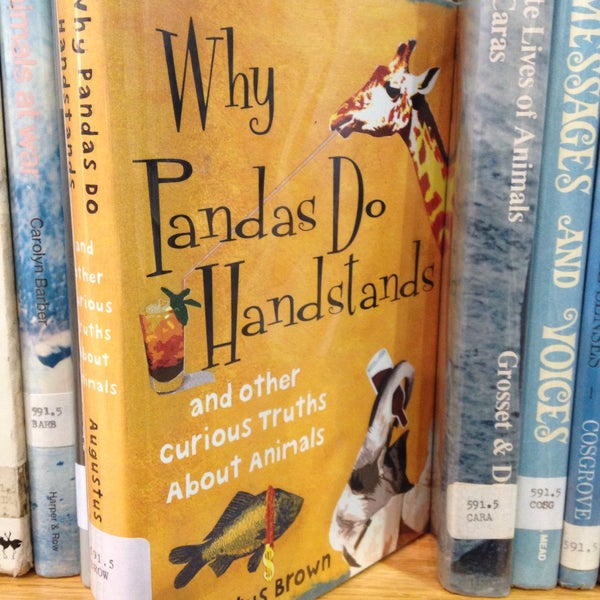 Allentown Public Library Westside 1210 Hamilton St