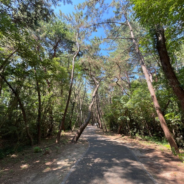福岡マイクロツーリズム In 生の松原 海岸森林公園と元寇防塁 そして日田焼きそば ラーメン もつ鍋など福岡の特選グルメ情報 クイッターズ福岡