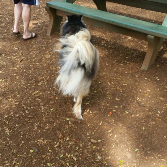 Moanalua Dog Park Moanalua 6 tips from 189 visitors