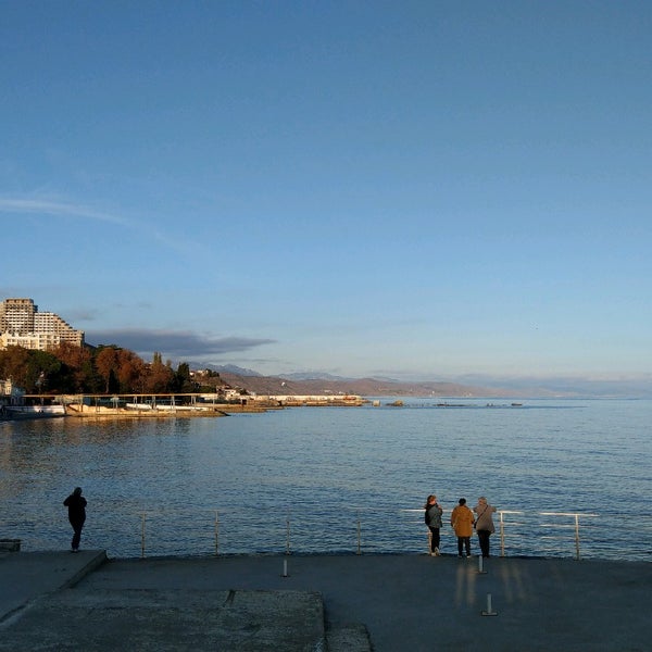 Алушта центр города. Алушта набережная 2021. Набережная алушты реконструкция. Проект набережной алушты. Кустарник в алуште на набережной.