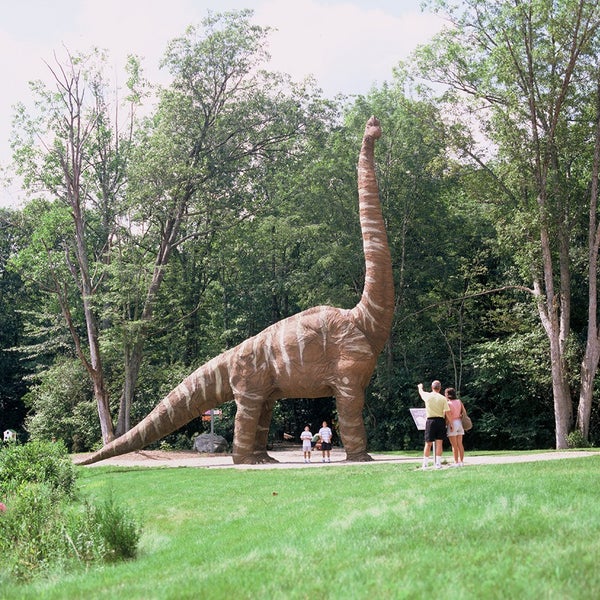 Das Foto wurde bei The Dinosaur Place at Nature&#39;s Art Village von The Dinosaur Place at Nature&#39;s Art Village am 2/25/2015 aufgenommen