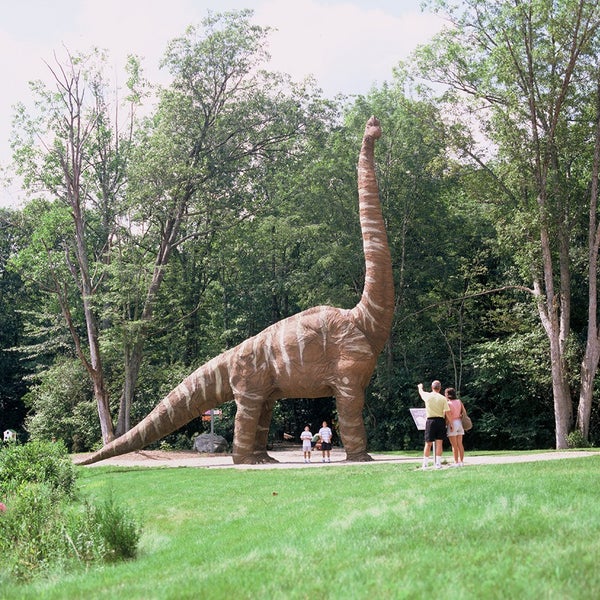 2/25/2015にThe Dinosaur Place at Nature&#39;s Art VillageがThe Dinosaur Place at Nature&#39;s Art Villageで撮った写真