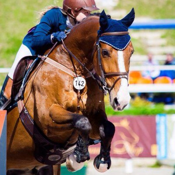 Спортсмен на коне 7 букв. Конь спортсмен. Спортсмен на коне. Атлет на лошади. Спортсмен на лошади финиш.