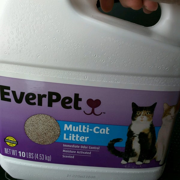 dollar general cat litter