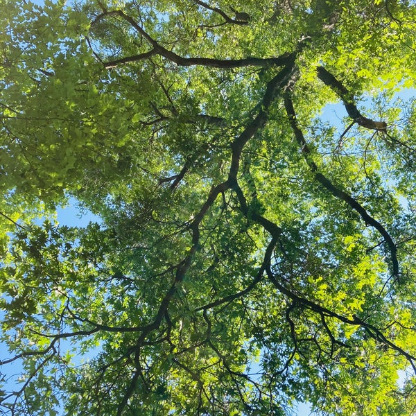 Somers, NY 3 tips from 603 visitors