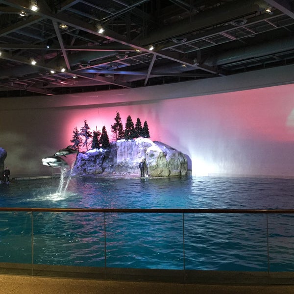 1/1/2015にJamie B.がShedd Aquariumで撮った写真