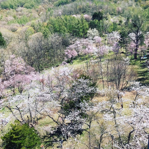 Photos At 東明公園 141 Visitors