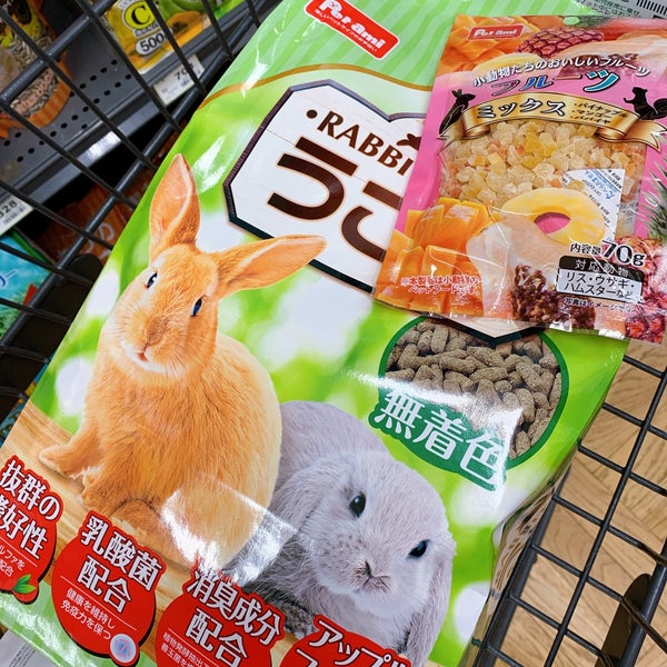 Fotos Bei Pet Ami Tierhandlung In 新潟市