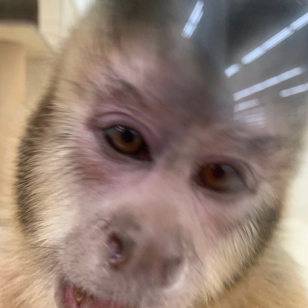 Photos At ペット アミ 河渡店 Pet Store In 新潟市東区