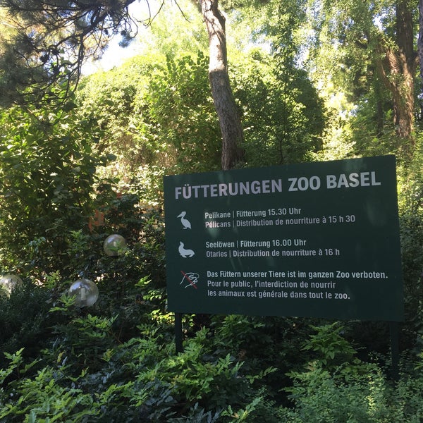 8/12/2018 tarihinde Antje K.ziyaretçi tarafından Zoo Basel'de çekilen fotoğraf