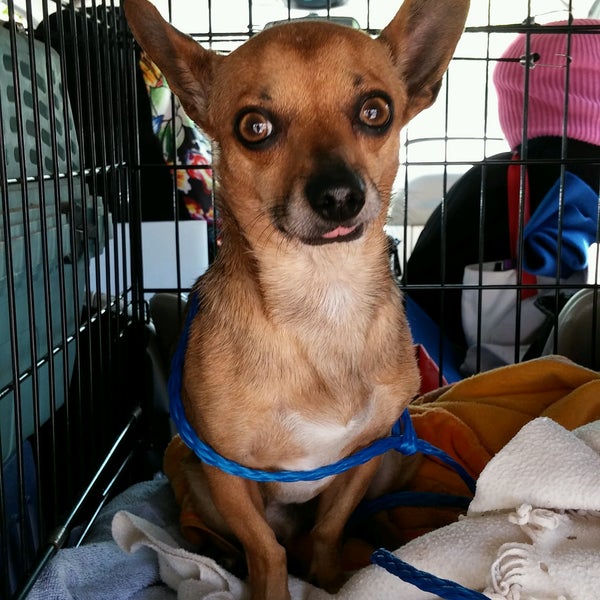 Cort Furniture Liquidation Store Furniture Home Store In San Diego