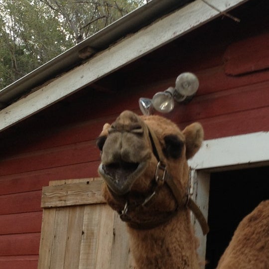 Das Foto wurde bei Vala&#39;s Pumpkin Patch &amp; Apple Orchard von Omahype am 10/21/2012 aufgenommen