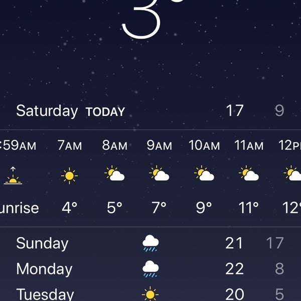 Cedar Lane Northgate 303 College Main