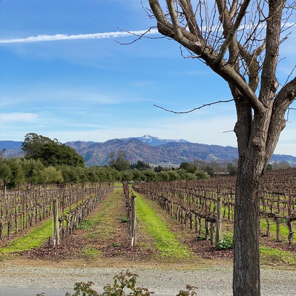 Foto diambil di Francis Ford Coppola Winery oleh Per L. pada 1/18/2020