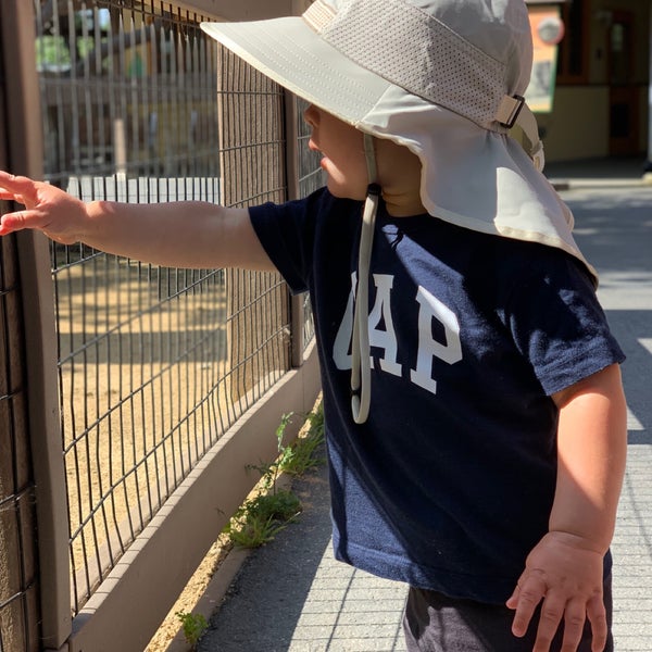 5/4/2019 tarihinde Per L.ziyaretçi tarafından Happy Hollow Park &amp; Zoo'de çekilen fotoğraf