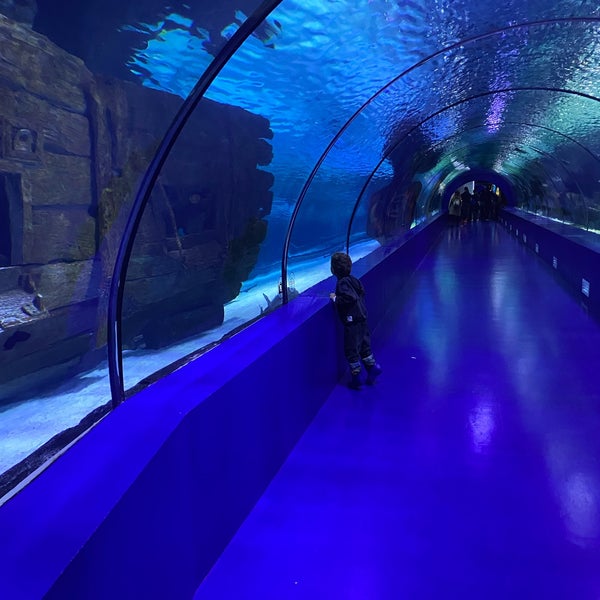 Foto scattata a Antalya Aquarium da Sunay B. il 11/24/2022