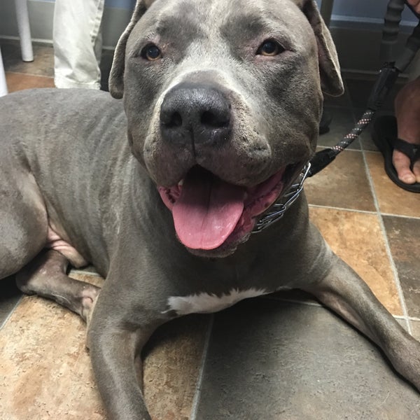 Brookhaven Pet Hospital Pet Supplies Store