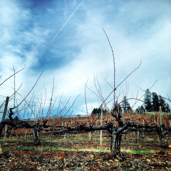 Das Foto wurde bei Boeger Winery von Geneva A. am 2/15/2014 aufgenommen