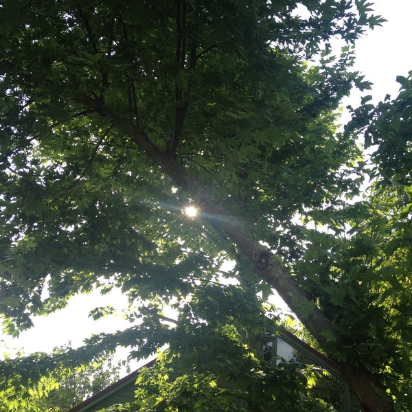 Obora Et Mangal polonezköy�da Barbekü Restoranı�da fotoğraflar